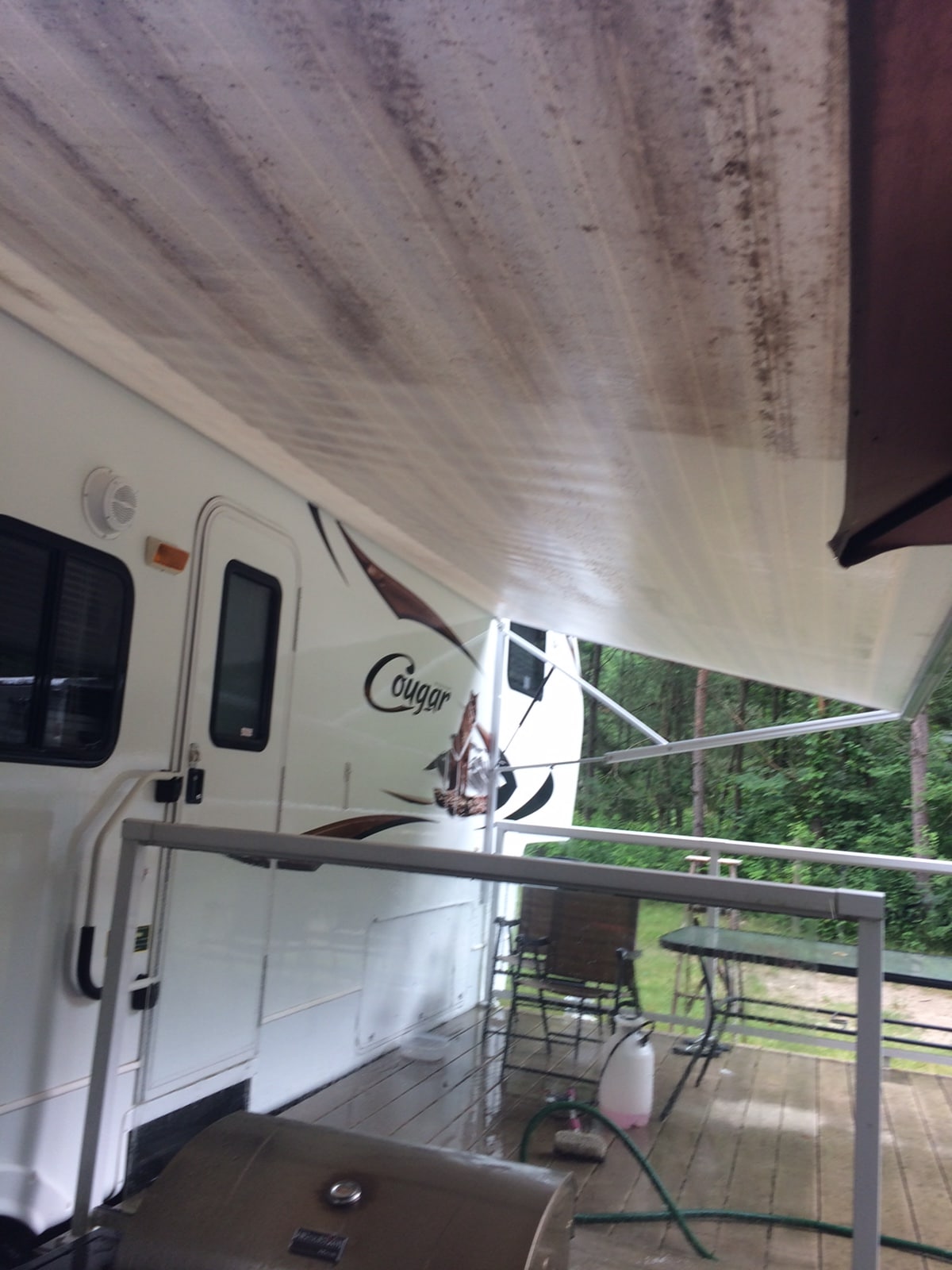 RV Awning - Cougar - 1/2 clean